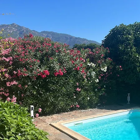 Privee Dans Un Cadre Verdoyant , Piscine Et Grand Jardin 포르토베쉬오