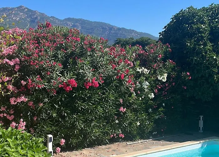 Privee Dans Un Cadre Verdoyant , Piscine Et Grand Jardin Porto-Vecchio (Corsica)
